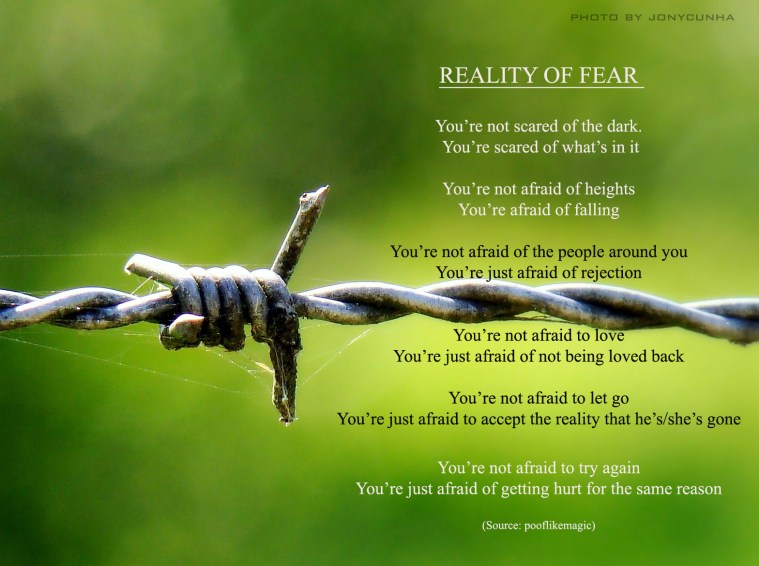 reality of fear